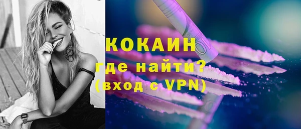 гидра Абаза