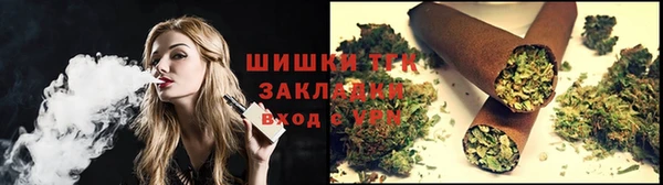 гидра Абаза