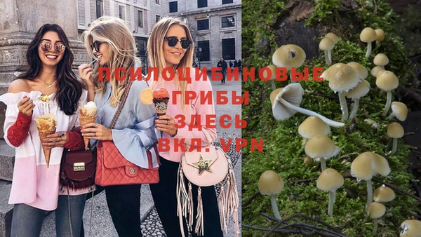 дурь Абинск