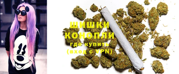 гидра Абаза