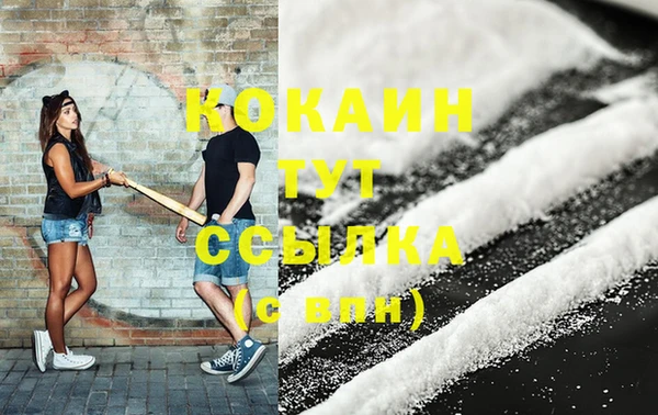 гидра Абаза