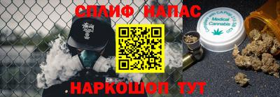 МДПВ Партизанск