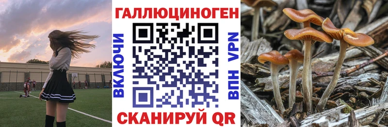 закладка  Сочи  блэк спрут вход  Галлюциногенные грибы MAGIC MUSHROOMS 