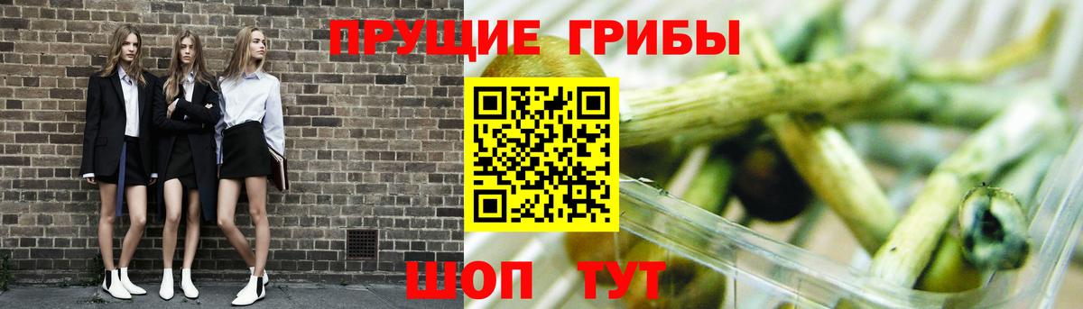 Галлюциногенные грибы мицелий  Псилоцибиновые грибы Psilocybe  Сочи  Вход с VPN 